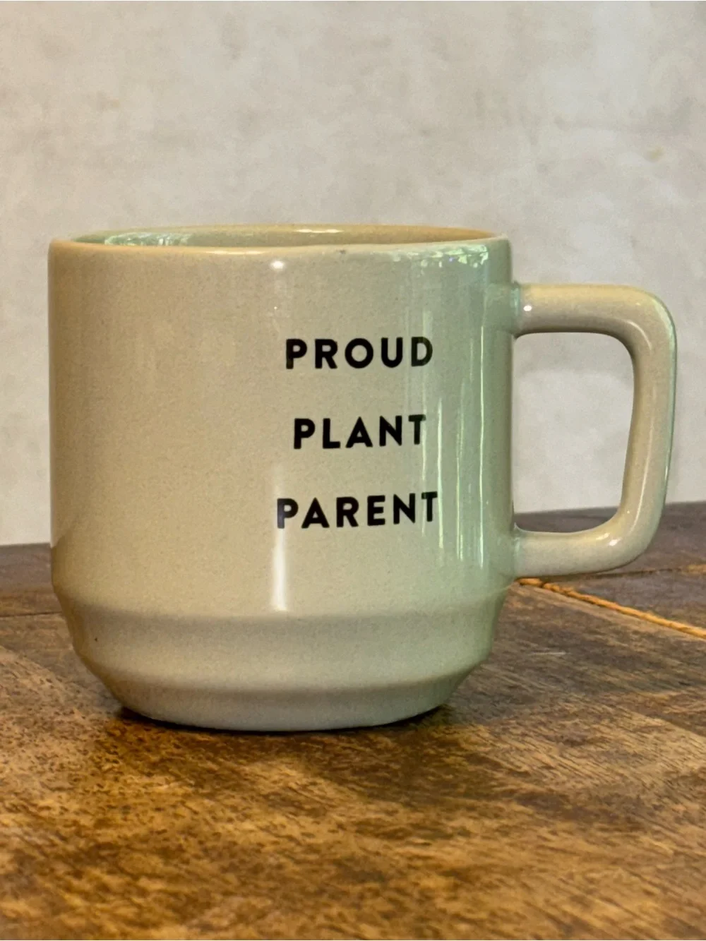 Proud Plant Parent Mug 3D Succulent Inside Horizon Group Green Earthenware